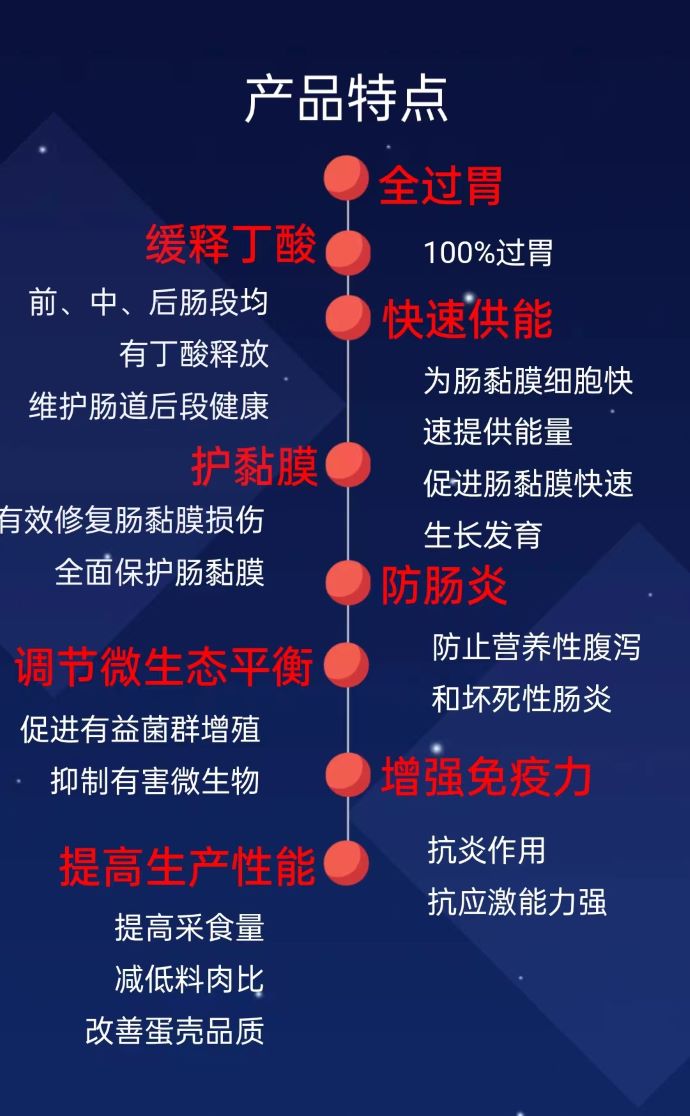 ��ϵ����